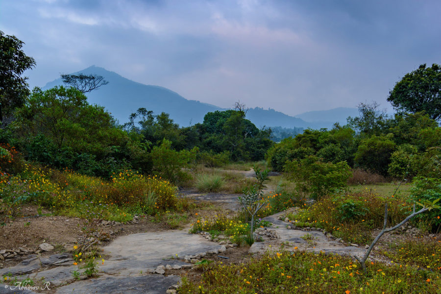 Anakkottapara-Park-Marayur-ABC_6056