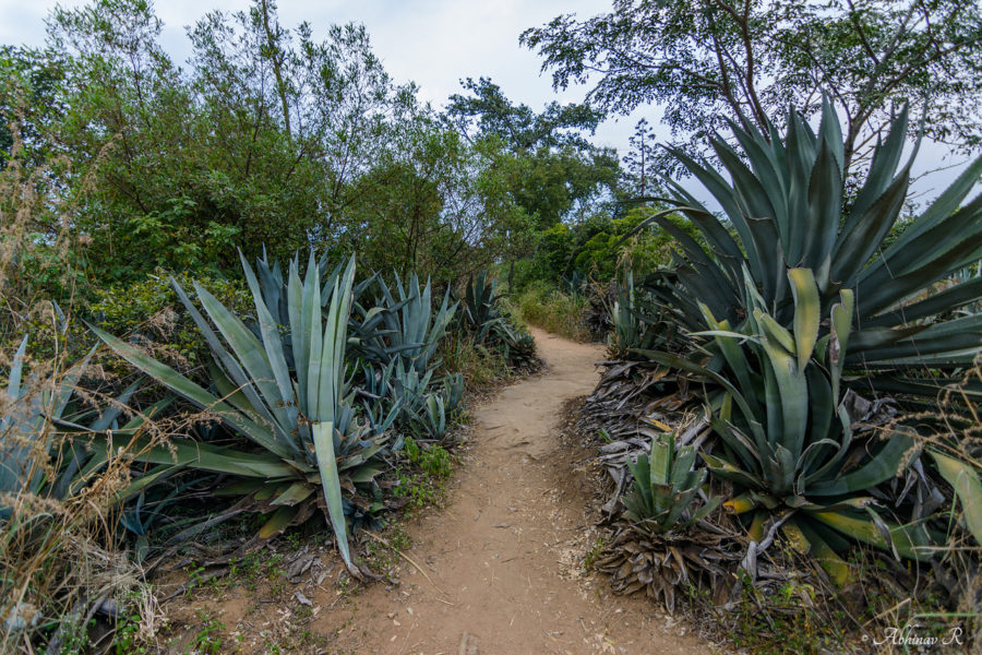 Kovilkadavu Anakkottappara Park
