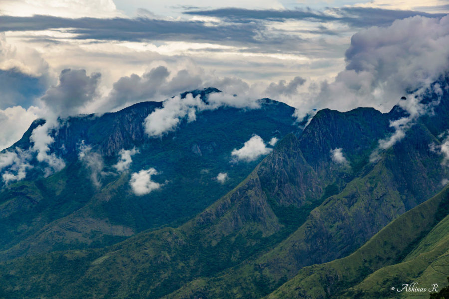Top Station Munnar - Pampadum Shola