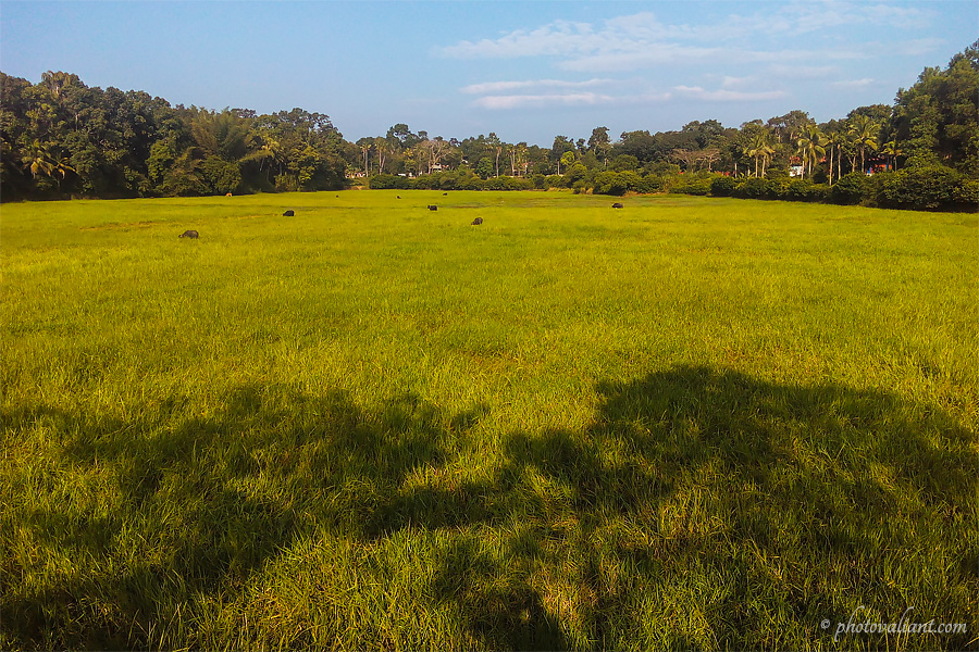 Nalumanikattu near Thiruvanchoor – Kottayam