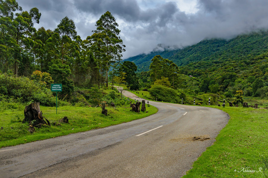 Pampadum Shola - Road to Vattavada