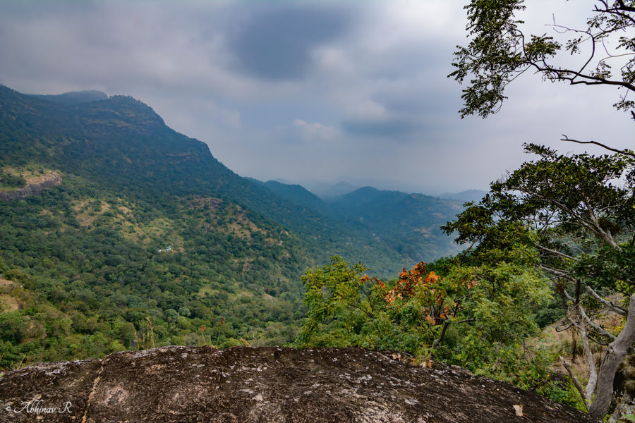 Chinnar Wildlife Sanctuary Trekking and Butterfly Watching