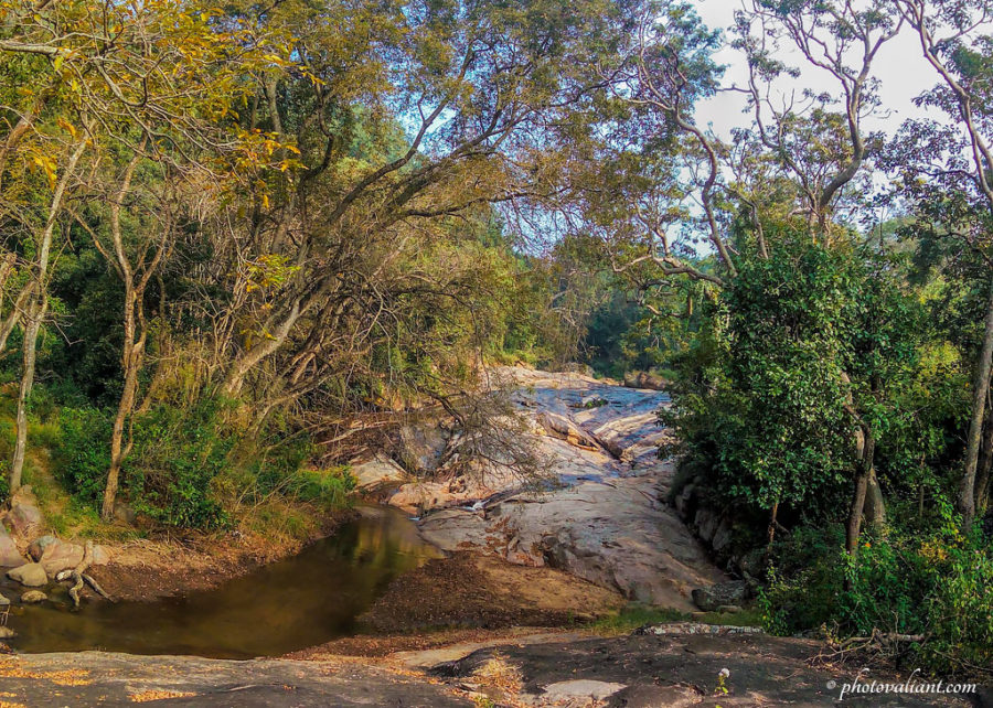 Chinnar Wildlife Sanctuary