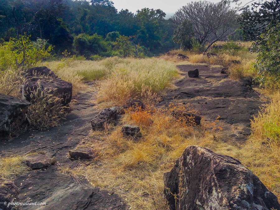 Chinnar Wildlife Sanctuary