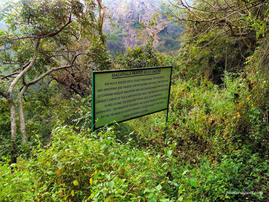 Madathala Rock Shelter - Chinnar Wildlife Sanctuary