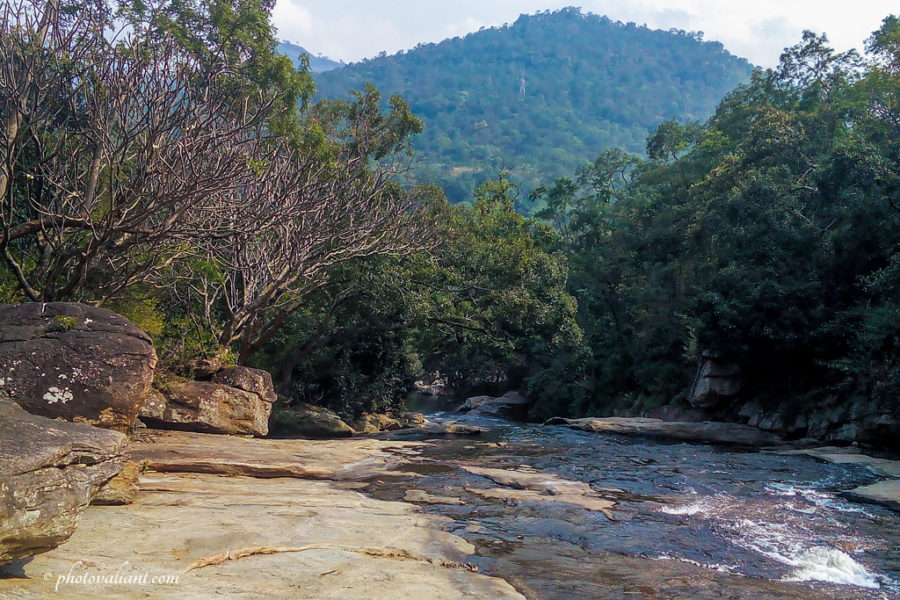 On the way to Thoovanam Waterfalls - Chinnar Wildlife Sanctuary