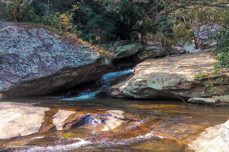 On the way to Thoovanam Waterfalls - Chinnar Wildlife Sanctuary