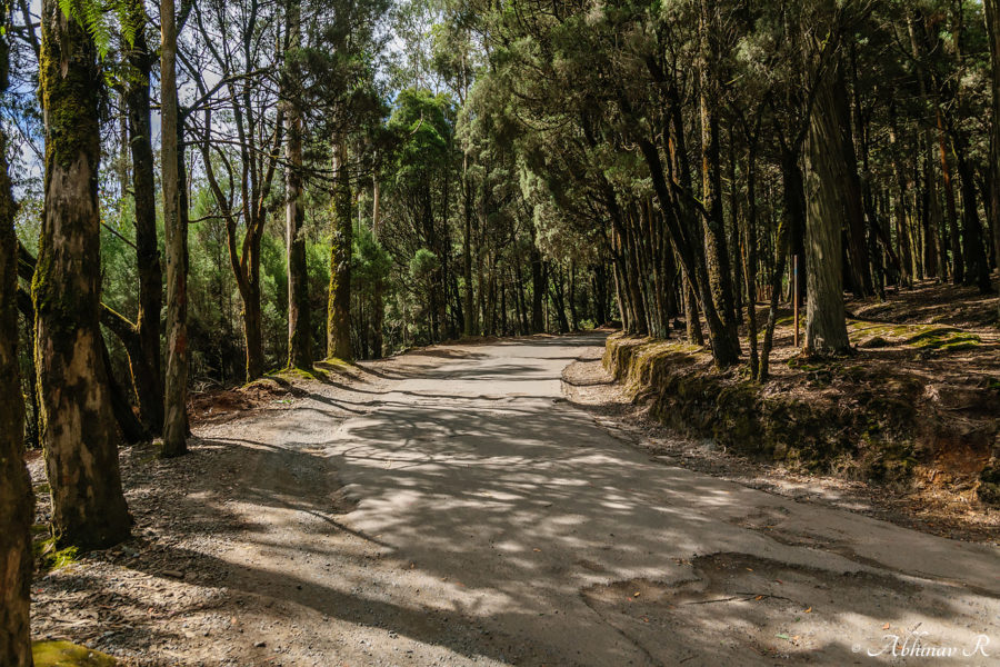 Doddabetta Peak - Ooty