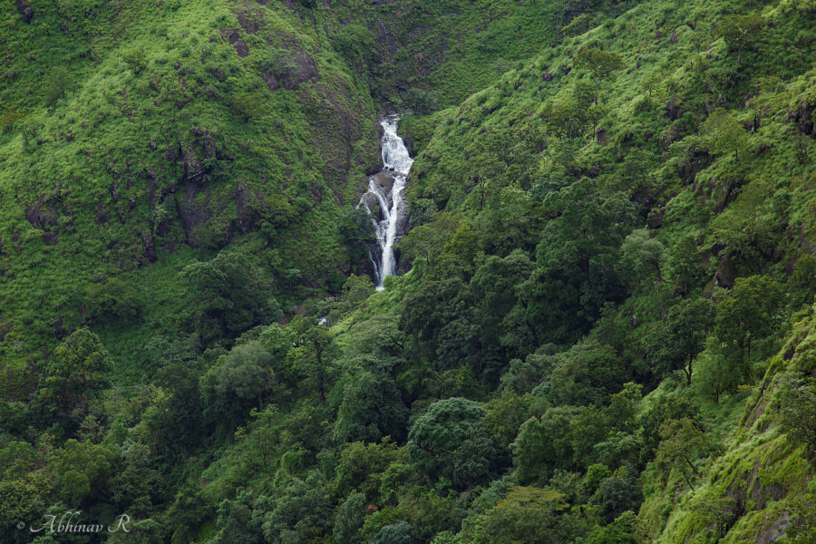 Azhutha River, Parunthumpara
