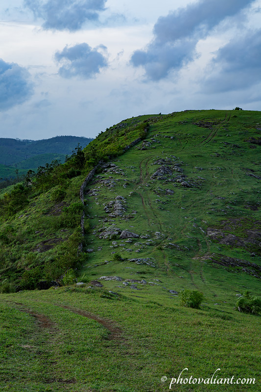 Parunthumpara meadows