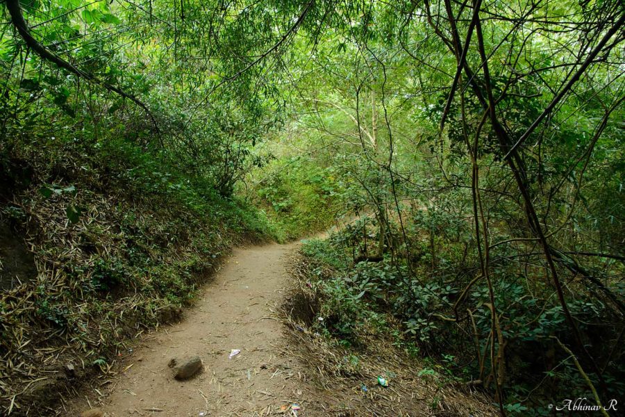 Ramakkalmedu in Idukki