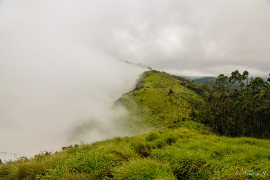 Fog covering Lakshmi Hills, Munnar