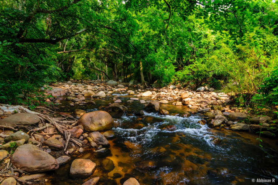 Chinnar riverside trekking