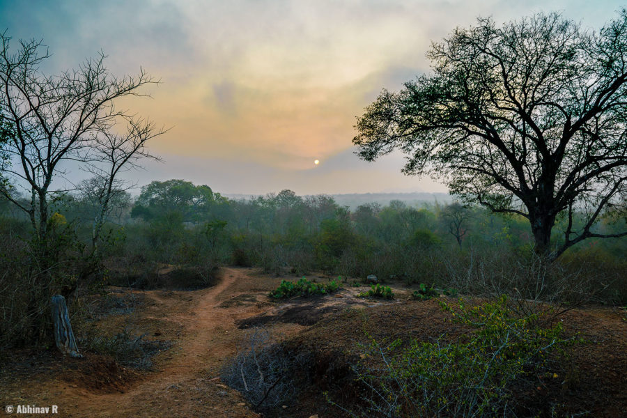 Sunrise in Masinagudi