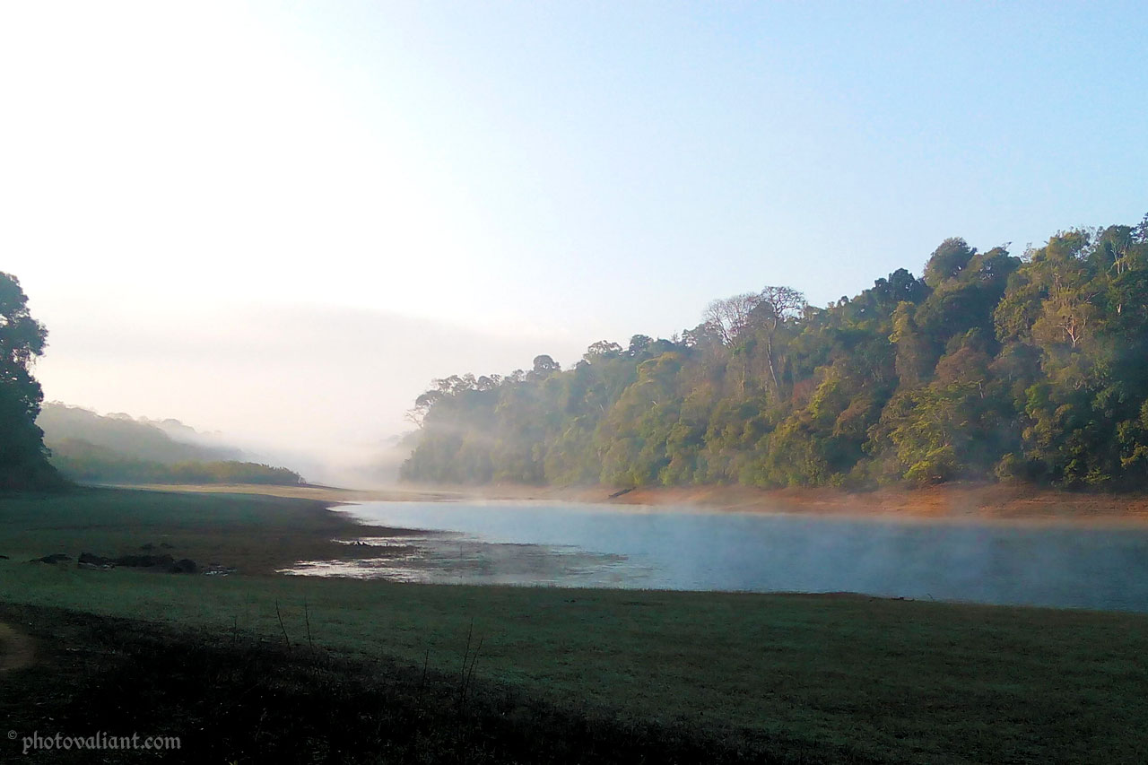 Nature walk in Periyar Tiger Reserve, Thekkady