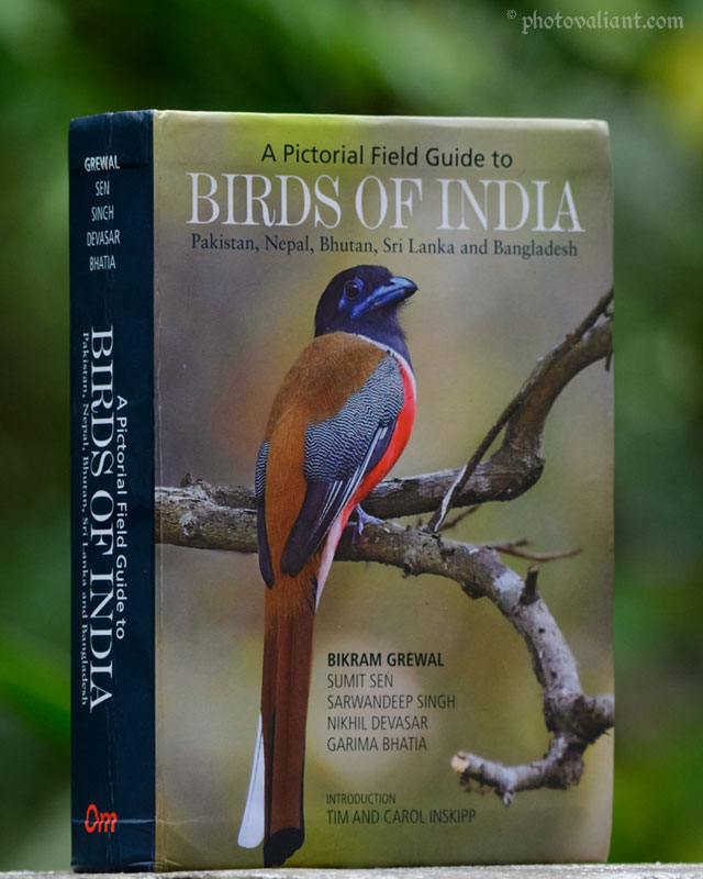 Birds of India by Bikram Grewal – A Pictorial Field Guide [Book Review]