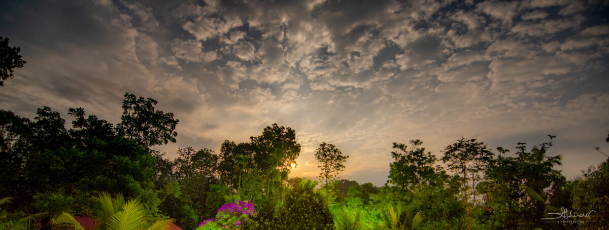 Moon Rise - a Panorama from Kerala, India