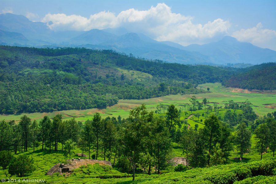 DSC_6005-underexposed-copy