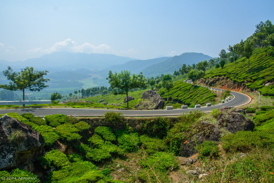 Gap-Road-Munnar-5989