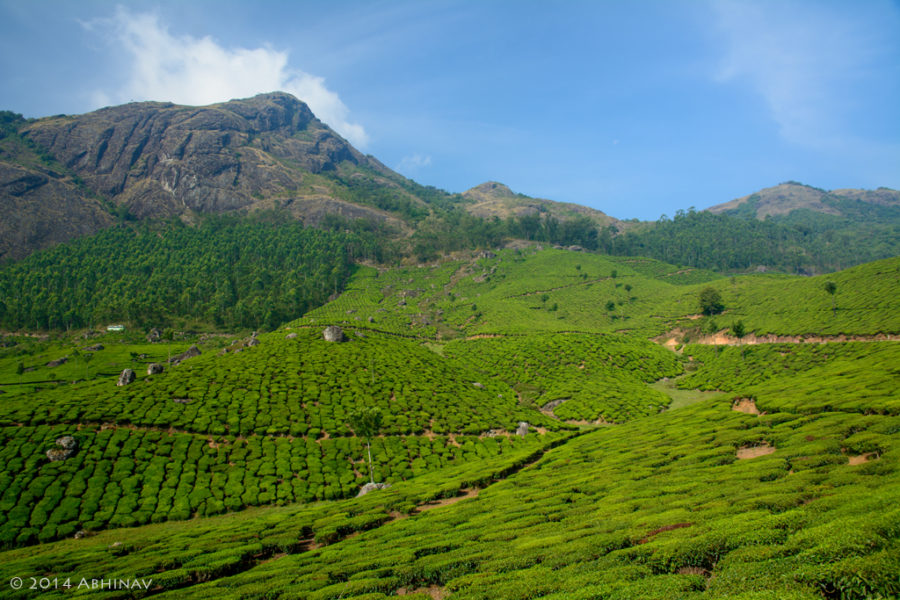 Near Devikulam Munnar