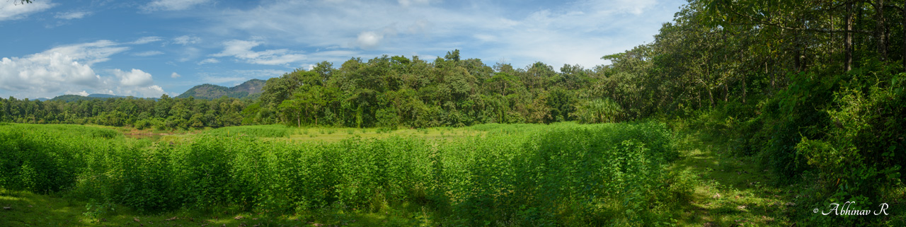 Lightroom CC Panorama